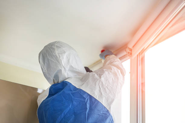 Why You Should Choose Our Mold Remediation Services in West Portsmouth, OH